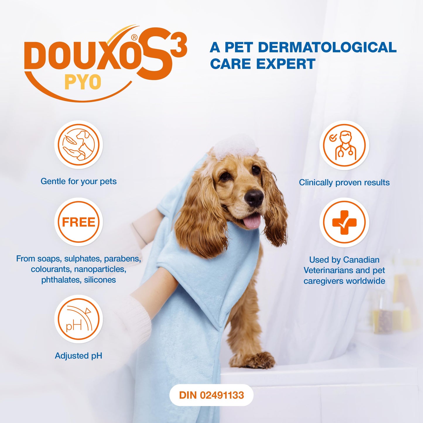 Douxo S3 Pyo Mousse, Contains 3% Chlorhexidine, for Dogs, 5.1 fl. oz. (150mL)