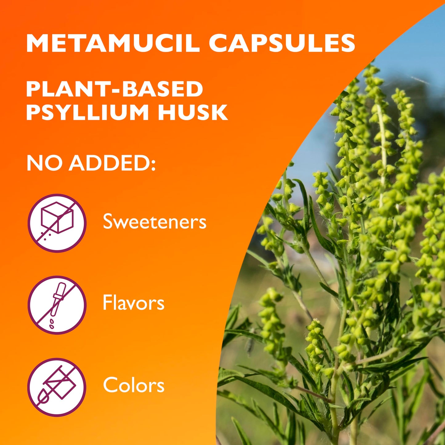 Metamucil Daily Fibre Supplement, Sugar Free, Naturally Sourced Psyllium Husk, Multi-Health Benefit Daily, Plant-Based, Gluten-Free Capsules, 100 Capsules