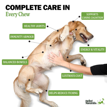 Deley Naturals Dog Multivitamins Chewable - 15 in 1 Dog Vitamins and Supplements for Immune System, Skin, Joint Support & Digestion - Multivitamin with MSM, Glucosamine & Chondroitin for All Ages - Available at All In One Marketplace Canada