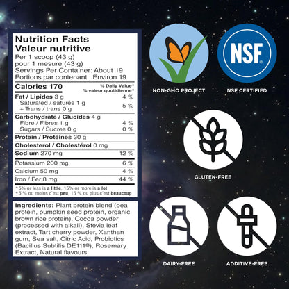 Vega Protein + Recovery, Mocha – 30g Vegan Protein, Dairy & Gluten Free, Probiotics, NSF Certified, 812 g (19 Servings) 🍁 All In One Marketplace Canada