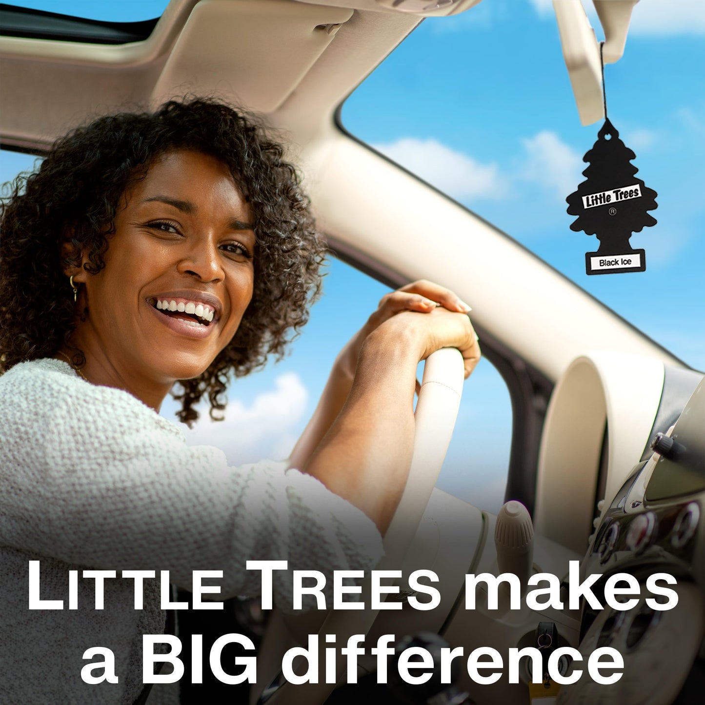 LITTLE Air Fresheners Car Air Freshener. Hanging Tree Provides Long Lasting Scent for Auto or Home. Black Ice, 24 Air Fresheners