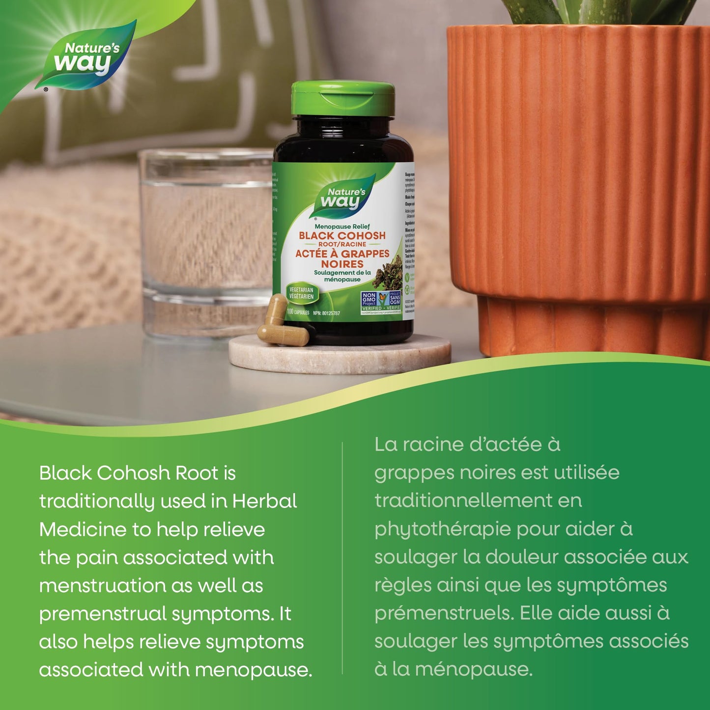 Nature's Way Black Cohosh Root – Hormone Balance for Women – 540mg Herbal Supplement for Menopausal Symptoms – Helps Relieve Menstruation Pain & Premenstrual Symptoms – 100 Vegetarian Capsules - Available at All In One Marketplace Canada