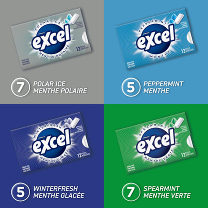 EXCEL Sugar-Free Chewing Gum Variety Pack - 24 Packs (12 Pieces Each)