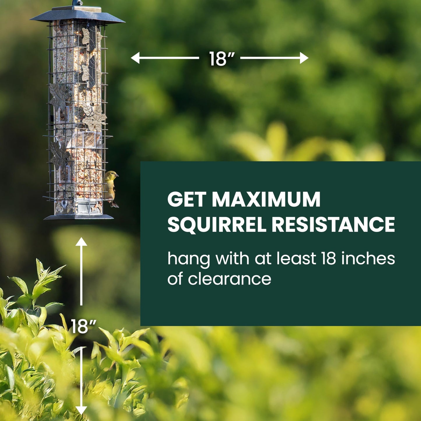 Perky-Pet 336-1SR Squirrel-Be-Gone Bird Feeder, 2LB Squirrel Proof Outdoor Wild Bird Feeder with Weight-Activated Perches