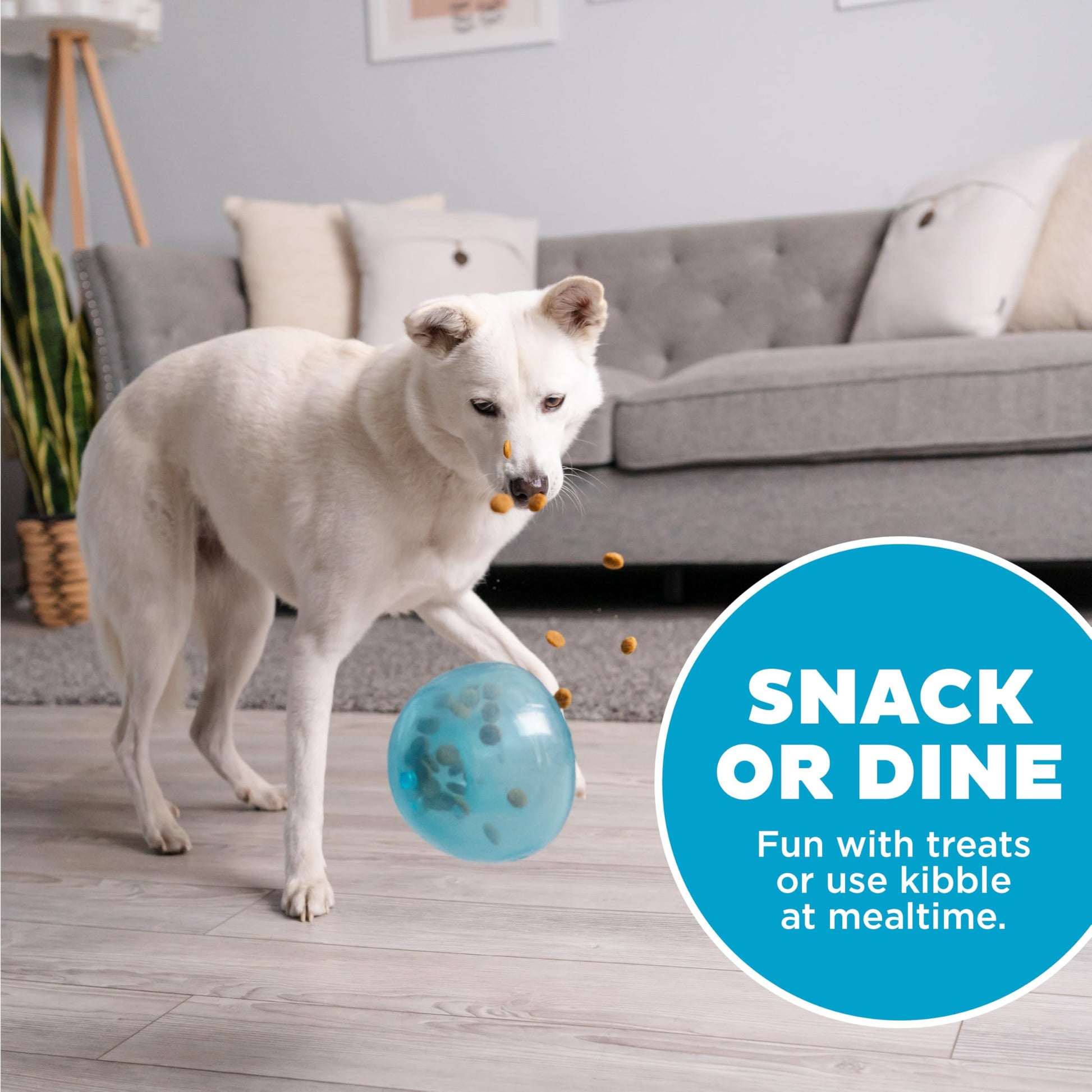 Planet Dog Orbee-Tuff Snoop Interactive Puzzle Dog Toy, Blue Outward Hound