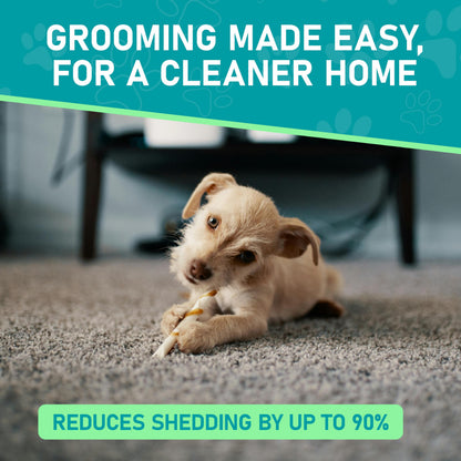 Maxpower Planet Pet Grooming Brush - Double Sided Shedding, Dematting - Undercoat Rake Dogs - Dog Grooming Brush - Deshedding Brush for Dogs - Dog Brush, Cat Brush, Reduce Shedding by 95%, Turquoise