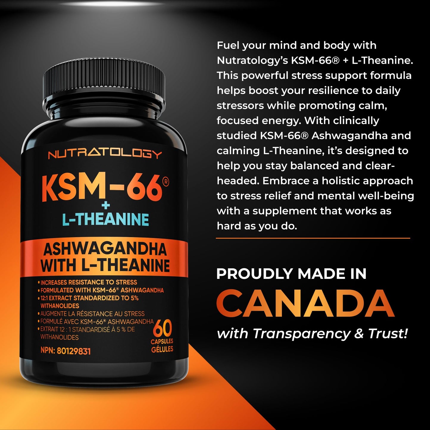 Nutratology® Ashwagandha KSM-66 7200MG + L-Theanine 100MG - Made In Canada | Stress Relief Supplements - Relaxation & Mood Support - Formulated With Bioperine For Enhanced Absorption - 60 Capsules - Available at All In One Marketplace Canada