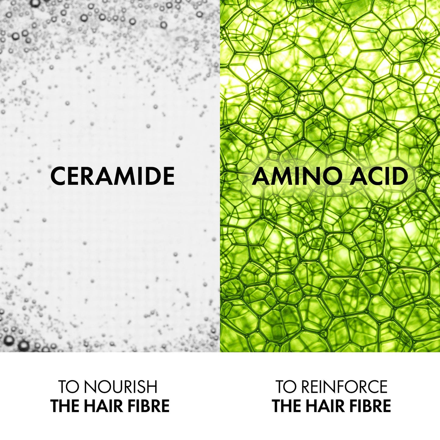 Vichy Dercos Hair Conditioner, Energy+ Fortifying Conditioner for Thin Hair, Adds Strength & Density. Formulated With Amino Acid and Ceramides, Recommended by Dermatologists, 200 ml - Available at All In One Marketplace Canada