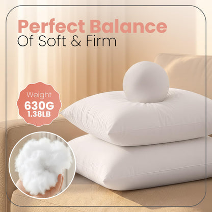 Utopia Bedding Throw Pillows Insert (Pack of 2, White) - 20 x 20 Inches Bed and Couch Pillows - Indoor Decorative Pillow