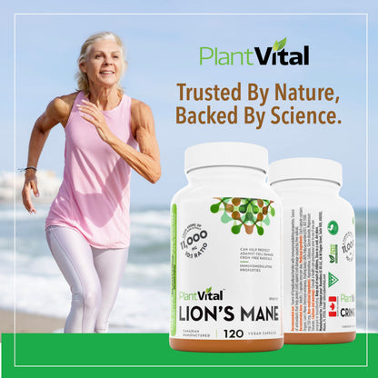 PlantVital Lions Mane - Made in Canada - Max Potency 11,000mg (10:1 Extract) - Organic Lion’s Mane Mushroom Supplements with 40% Polysaccharides - Supports Immune Health and Antioxidants -120 Capsules - Available at All In One Marketplace Canada