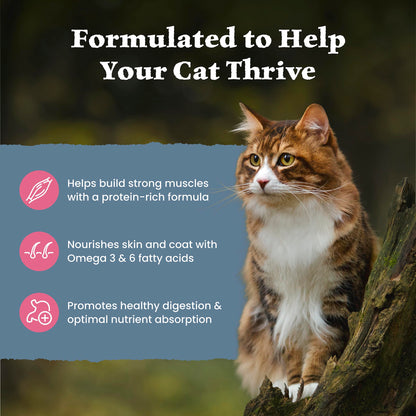 Blue Buffalo Wilderness with Salmon Natural High-Protein Grain-Free Dry Food for Adult Cats, Real Salmon First, Antioxidant-Rich LifeSource Bits Support Immunity, Promotes Strong Muscles,11 lbs.