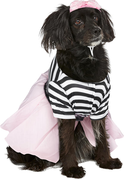 Costume pour animal de compagnie Halloween Classics Collection de Rubies Costume Co, taille moyenne, robe de fille des années 50