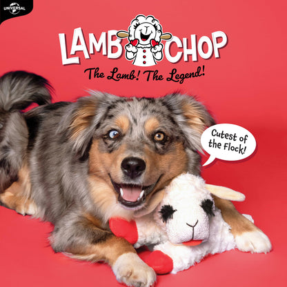 MultiPet MU48375 Plush Dog Toy, Lambchop, 10'', White
