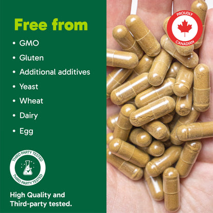 Organika Canadian-Made Ashwagandha with Black Pepper- Enhanced Absorption, Memory Support, Sleep Aid, Adaptogenic- 90vcaps Organika