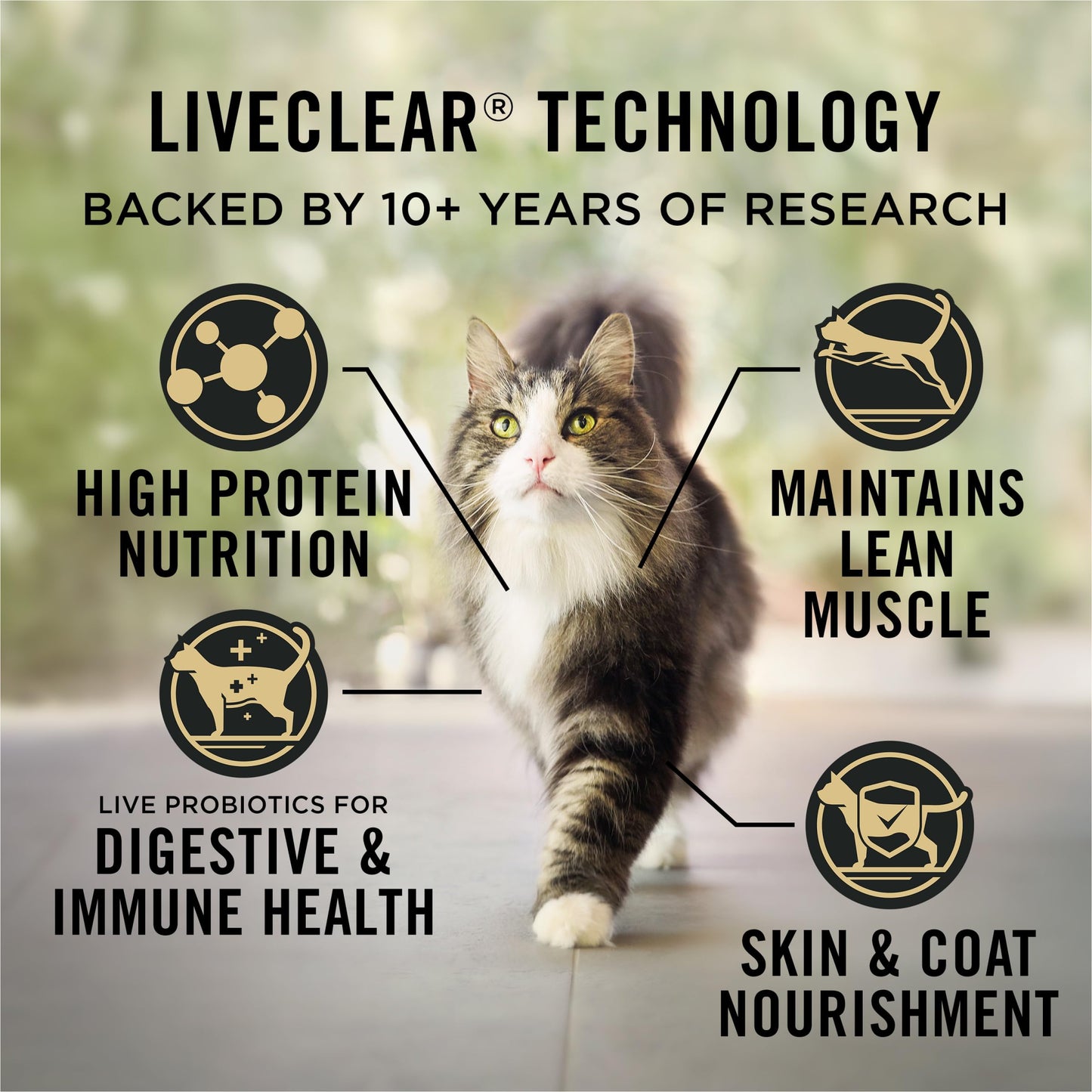 Purina Pro Plan Dry Cat Food, Specialized LiveClear Indoor Turkey & Rice - 2.49 kg Bag (1 Pack) Pro Plan