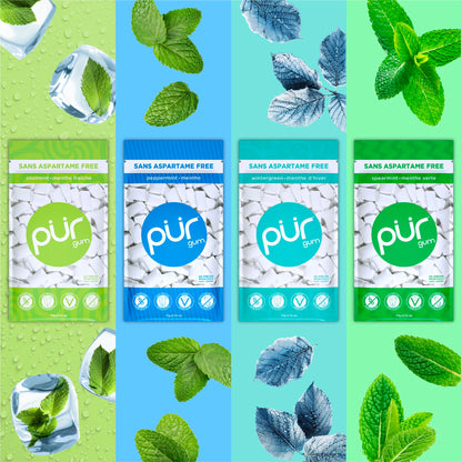 PUR Gum Variety Pack | Sugar-Free Chewing Gum Sweetened with 100% Xylitol | 8 Flavors, 55 Pieces Per Pack