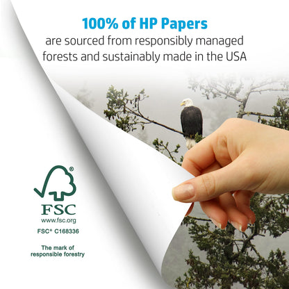 HP Printer Paper 8.5x11 Copy&Print 20 lb 5 Ream Case 2500 Sheets 92 Bright Made in USA FSC Certified Copy Paper HP Compatible 200350C