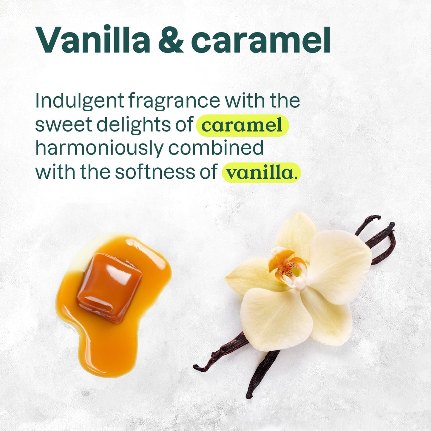 ATTITUDE Limited Edition Liquid Hand Soap, EWG Verified, Plant and Mineral-Based, Vegan Personal Care Products, Vanilla Caramel, 473 mL (Pack of 3) 🍁 All In One Marketplace Canada
