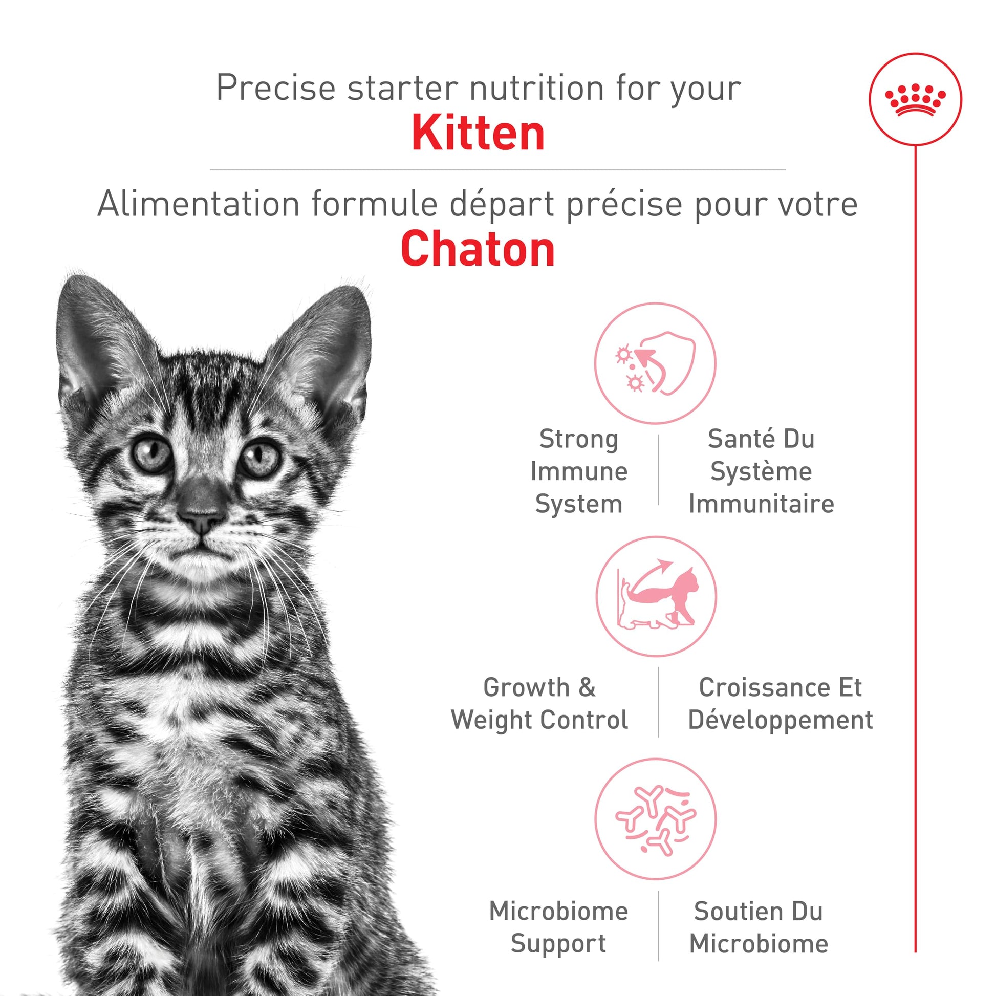 Royal Canin Feline Health Nutrition Kitten Spayed/Neutered Dry Cat Food, 2.5 lb Bag ROYAL CANIN