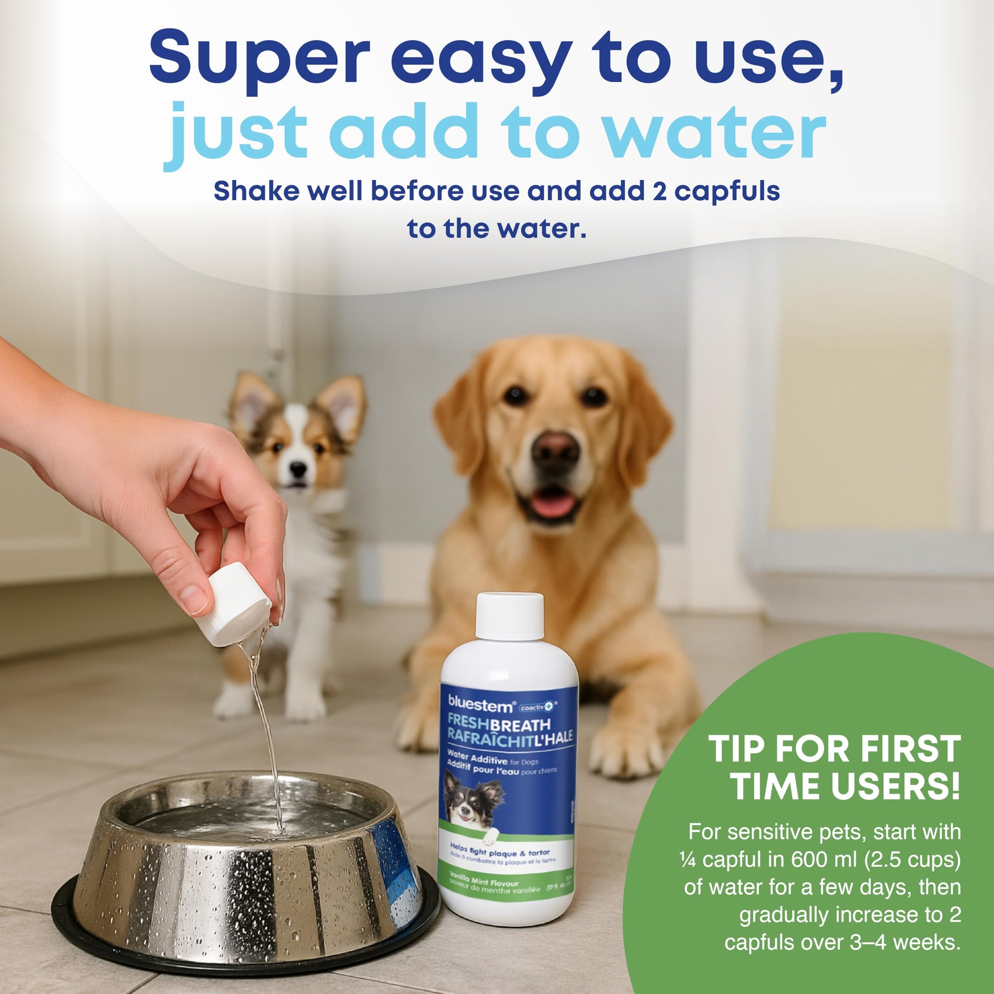 bluestem Dental Care Water Additive for Dogs – No Brushing Daily Teeth Cleaner – Pet Oral Rinse to Freshen Breath & Help Reduce Plaque – Flavorful & Easy Oral Hygiene (500 ml, Vanilla Mint)