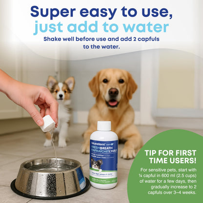 bluestem Dental Care Water Additive for Dogs – No Brushing Daily Teeth Cleaner – Pet Oral Rinse to Freshen Breath & Help Reduce Plaque – Flavorful & Easy Oral Hygiene (500 ml, Vanilla Mint)