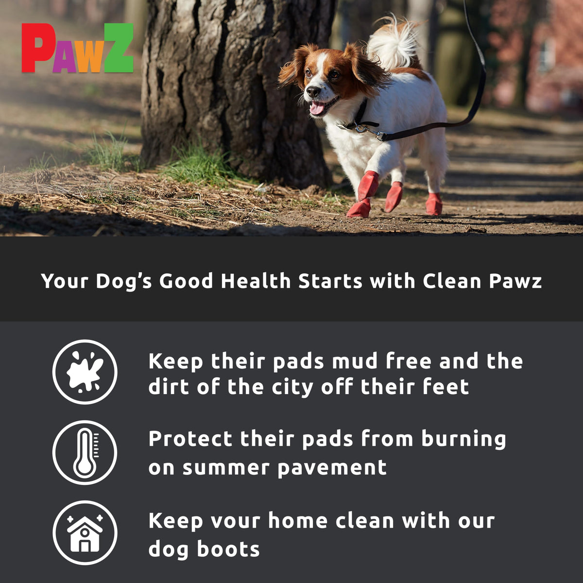 Pawz PZBLKS Water-Proof Dog Boots, Small, 2-Inch to 2.5-Inch, Black 🍁 All In One Marketplace Canada