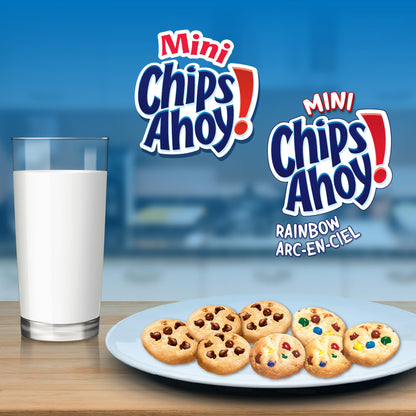 Oreo, Chips Ahoy! & Teddy Grahams, Cookies, 6 Bags, Variety Pack, 1.2 kg