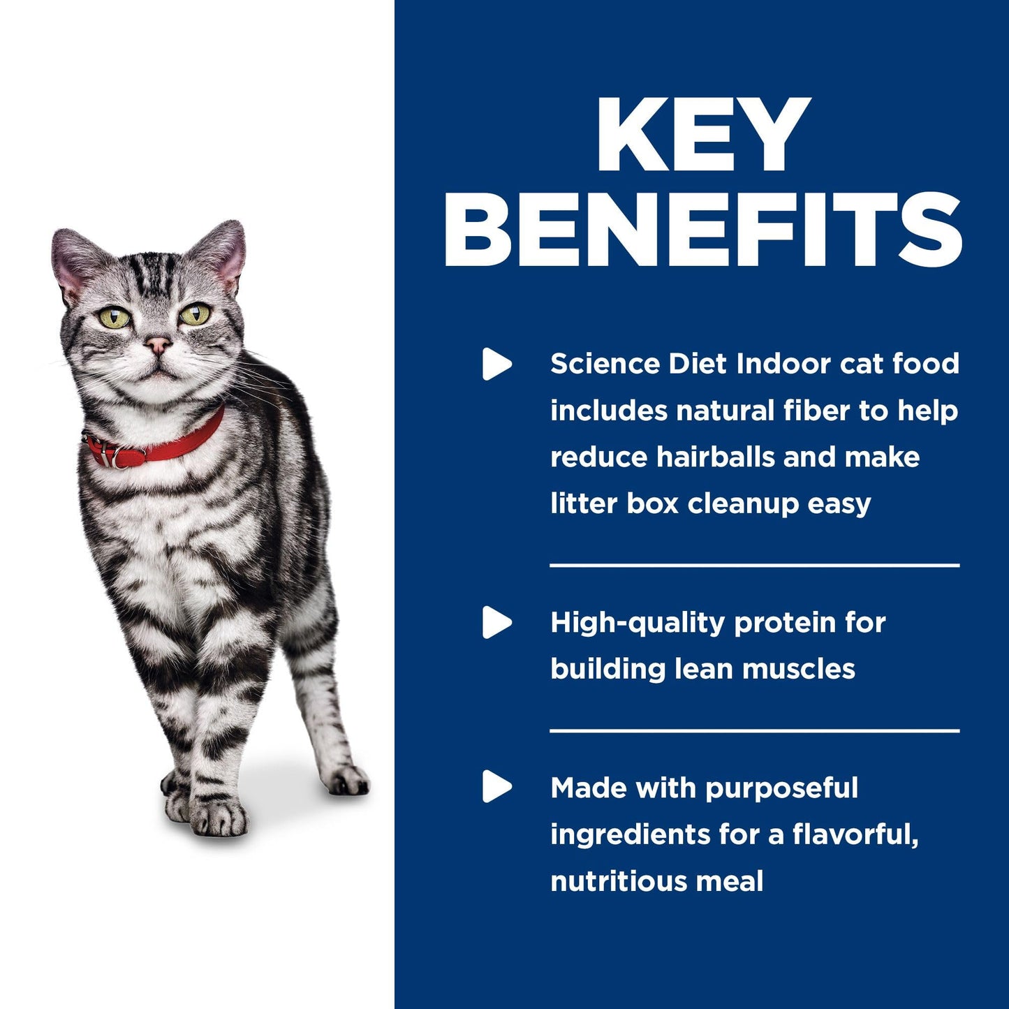 Hill's Science Diet Adult Indoor Canned Cat Food, Savory Chicken Entrée, 5.5 oz, 24 Pack Wet cat Food Hill's Science Diet
