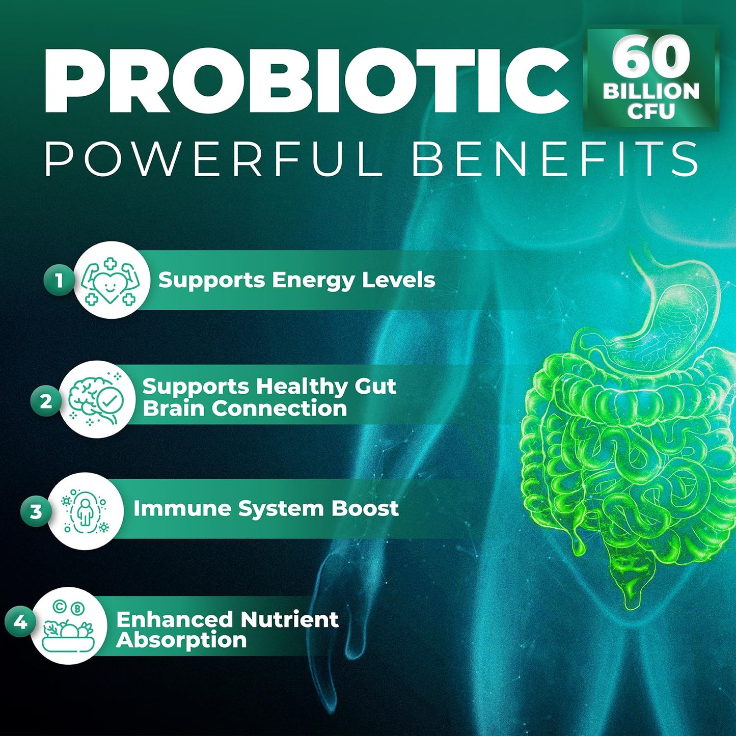Probiotics Women & Men - 60 Billion CFU Probiotic + Prebiotics | Delayed Release Capsules Survive Stomach Acid for Max Potency | Digestive & Immune Support | Bloating & Gas Relief | Shelf Stable Lactobacillus Strains | Canadian Made, 3rd Party Tested - Available at All In One Marketplace Canada