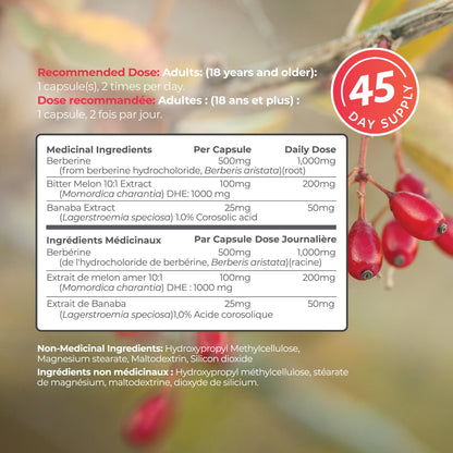 Berberine 1000mg | Healthy Cholesterol, Glucose & Lipid Metabolism & Cardiovascular Health Support | High Potency Berberine Supplement with Bitter Melon & Banaba Extract | Made in Canada | 90 Ct - Available at All In One Marketplace Canada