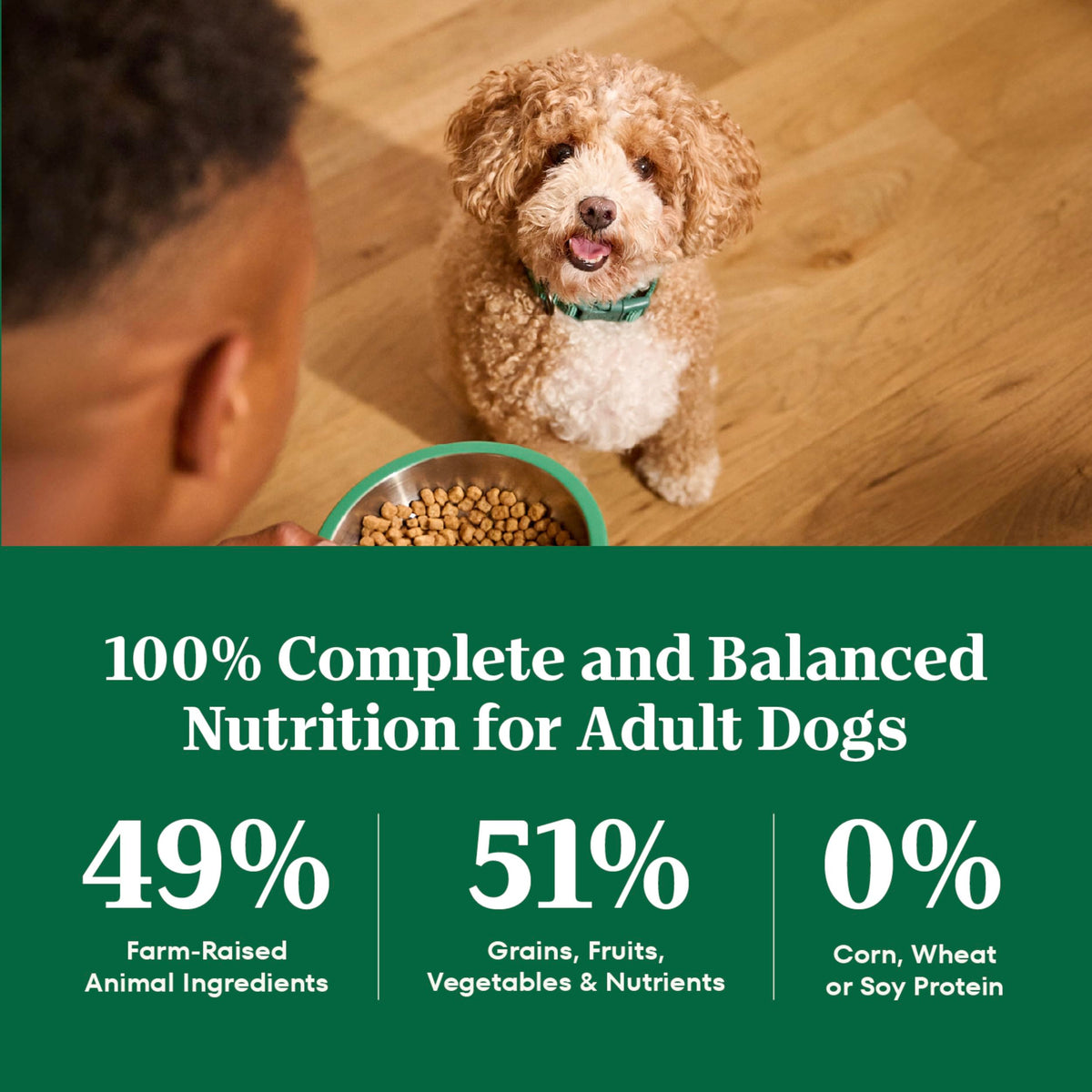 Nutro Natural Choice Adult Dry Dog Food, Chicken Flavour, 2.27kg