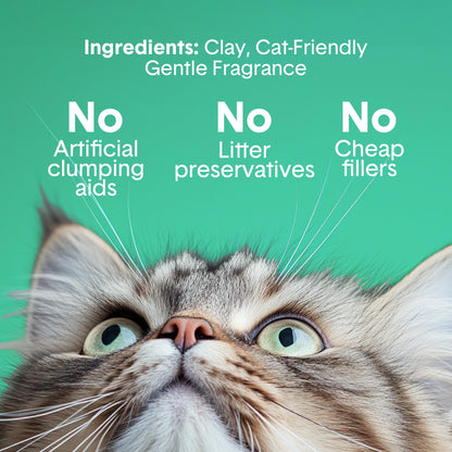 Boxie Premium Gently Scented Cat Litter 30 Day Odor Control Clumping Clay Kitty Litter, 99.9% Dust-Free, No Fillers, 28 lb