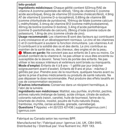 Igennus Methylated Kids Multivitamin Gummy, Sugar Free Kids Vitamins - Available at All In One Marketplace Canada