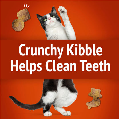 Friskies Party Mix Cat Treats, Gravy-Licious Crunch Chicken 510g (3 Pack) Friskies