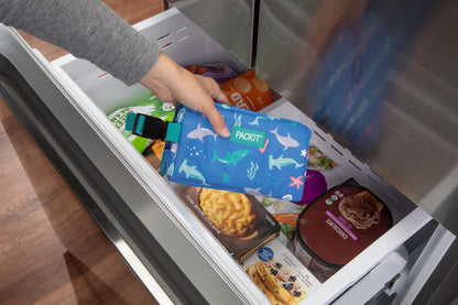 PackIt Freezable Snack Box, Sea Shark