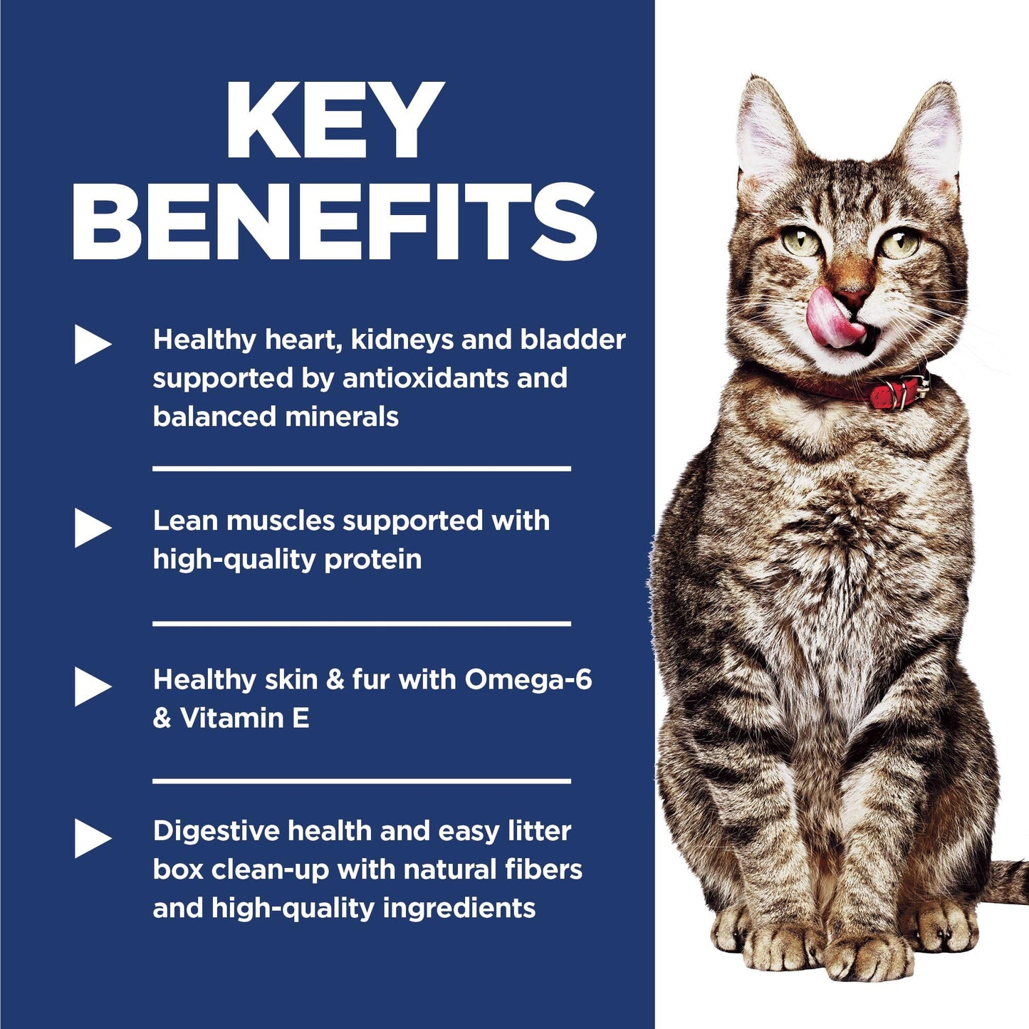 Hill's Science Diet Senior 7+ Indoor Chicken Recipe Dry Cat Food 1.58 kg Bag Hill's Science Diet