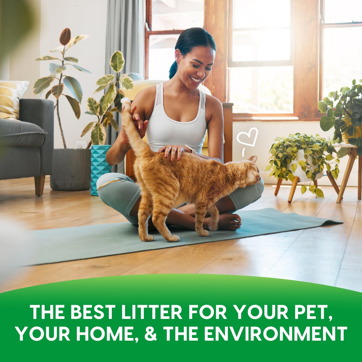 Fresh News Post Consumer Paper Pellet Cat Litter, 12-Pound 🍁 All In One Marketplace Canada