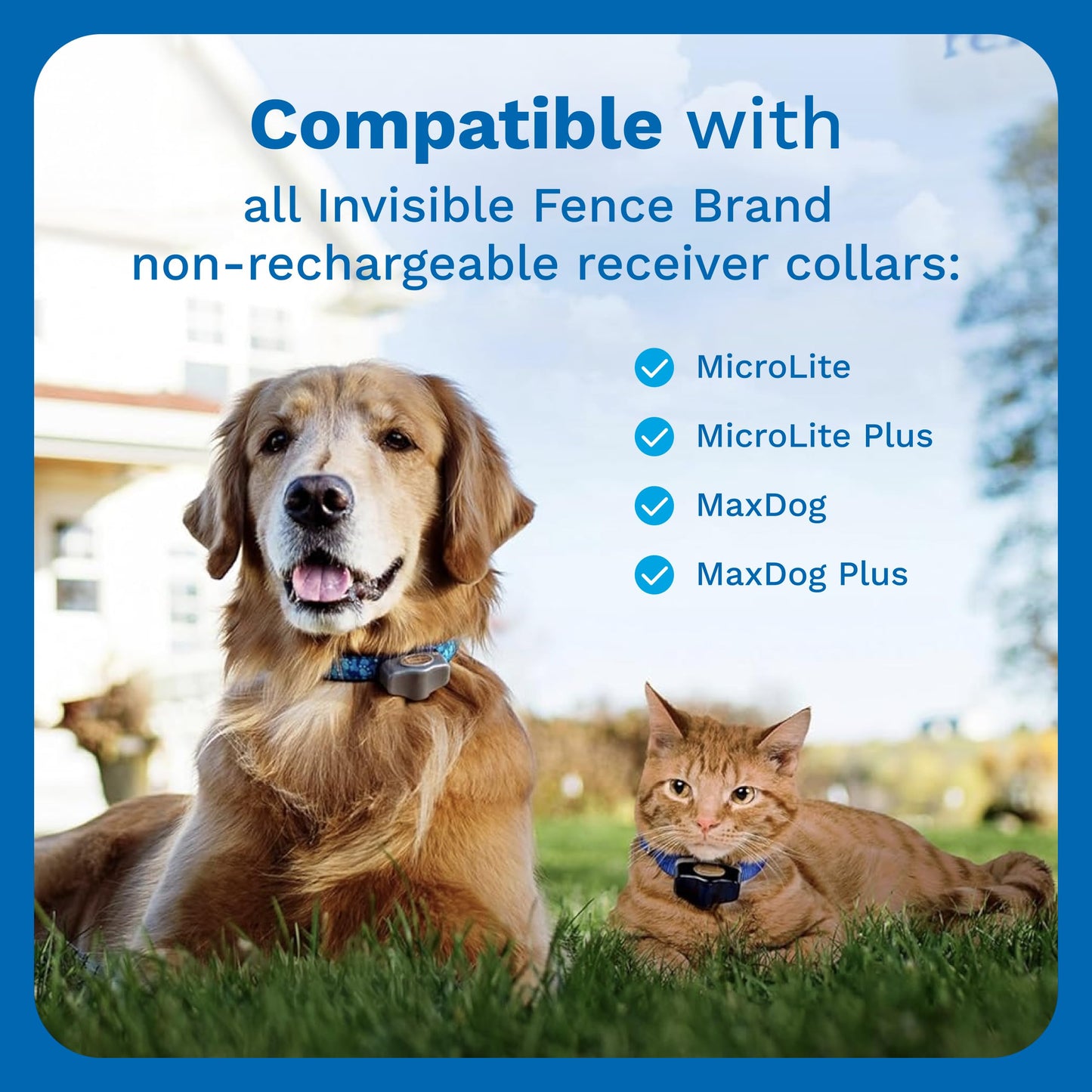 INVISIBLE FENCE Brand Power Cap Batteries for Microlite and Microlite Plus Computer Collar Units – 2-Pack – Also Compatible for MaxDog and MaxDog Plus Invisible Fence Dog Collars Invisible Fence