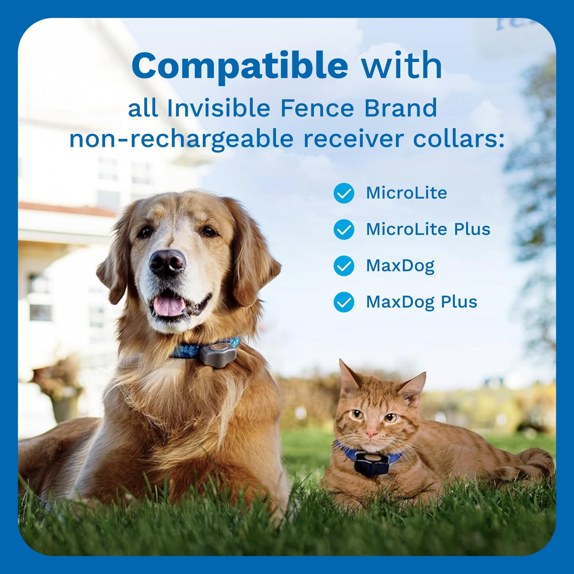 INVISIBLE FENCE Brand Power Cap Batteries for Microlite and Microlite Plus Computer Collar Units – 2-Pack – Also Compatible for MaxDog and MaxDog Plus Invisible Fence Dog Collars Invisible Fence