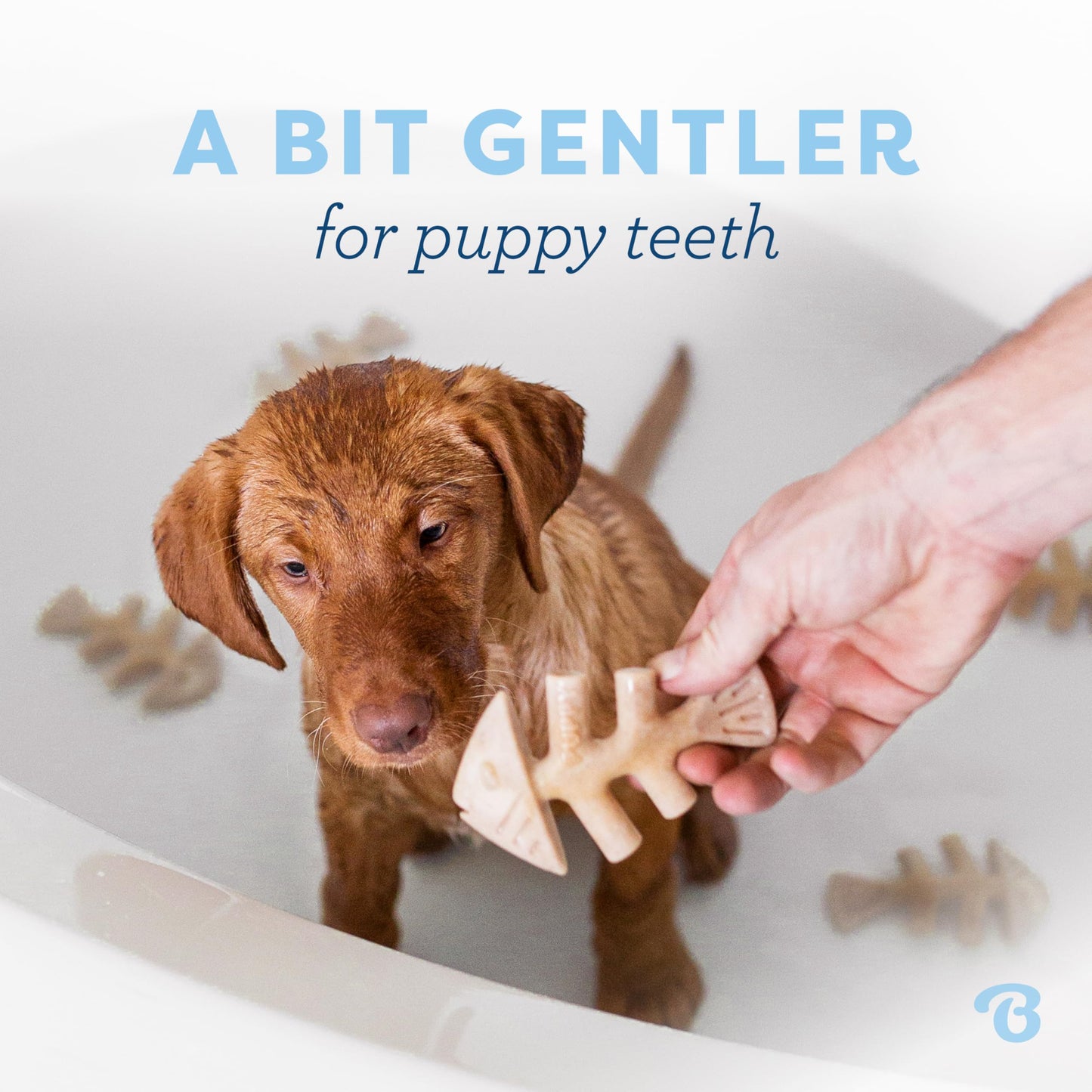 Benebone Puppy 4-Pack Dog Chew Toys for Gentle Chewers, Dog Bones, Small
