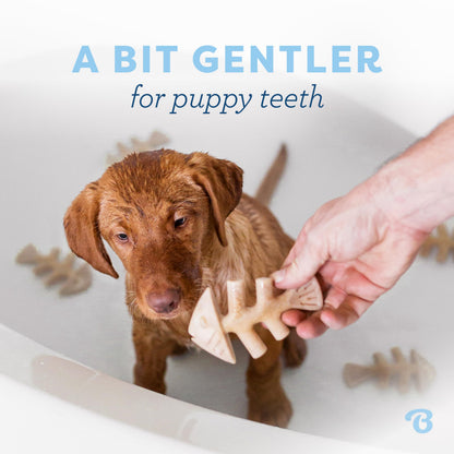 Benebone Puppy 4-Pack Dog Chew Toys for Gentle Chewers, Dog Bones, Small