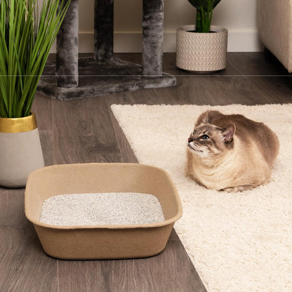 Kitty Sift Disposable Cat Litter Box Large, 6 Count, Durable Portable for Travel and Home, Eco-Friendly Disposable Litter Box Controls Odor Kitty Sift