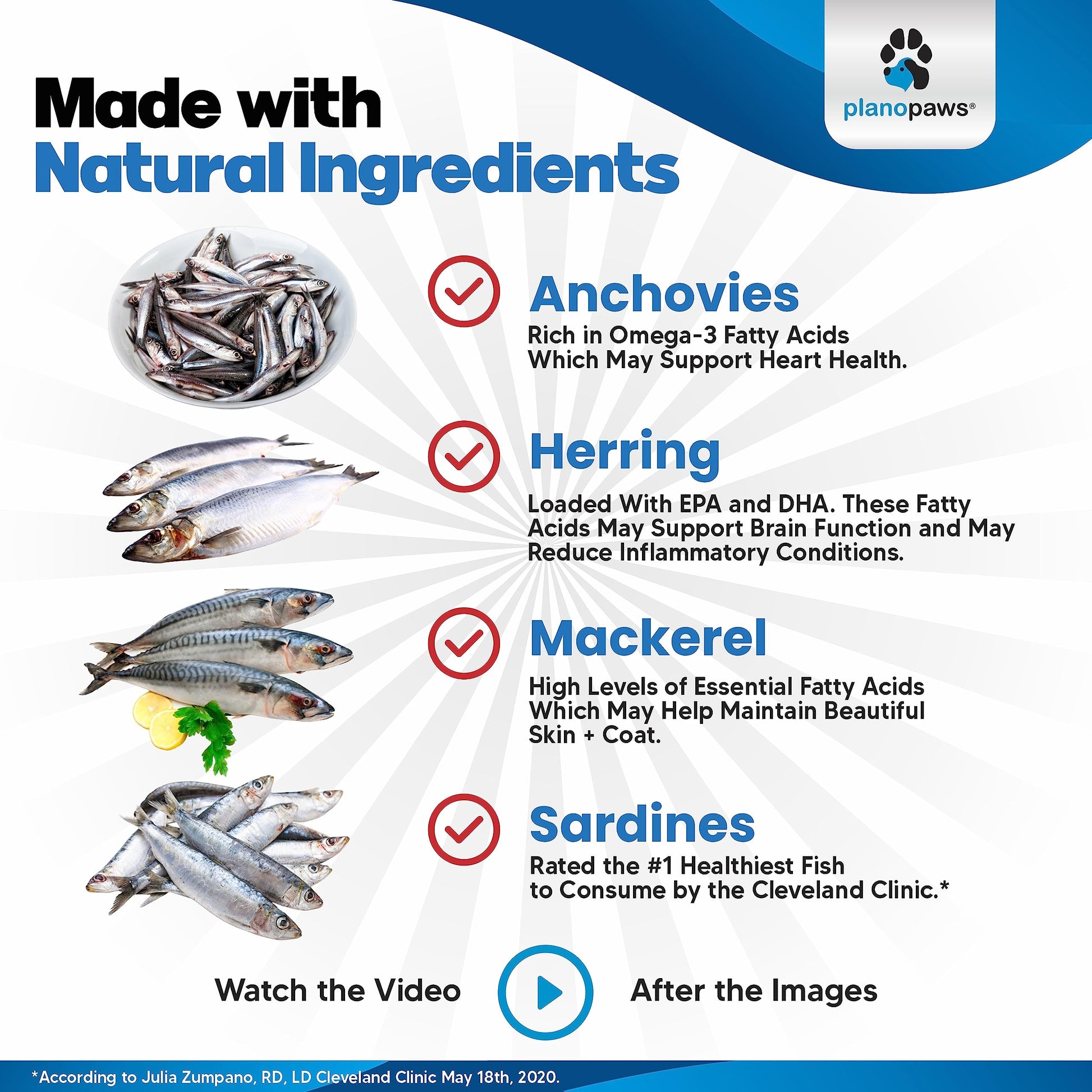 Omega 3 Fish Oil for Dogs – Liquid Dog Fish Oil Supplement – Supports Skin & Coat Health – Joint, Brain & Heart Support – for All Breeds & Ages