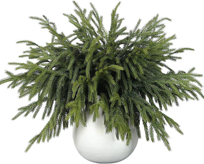 EWRITN Artificial Norfolk Pine Branches, 16 Pieces, Faux Christmas Greenery Stems for Indoor Outdoor Holiday Home Decor 🍁 All In One Marketplace Canada