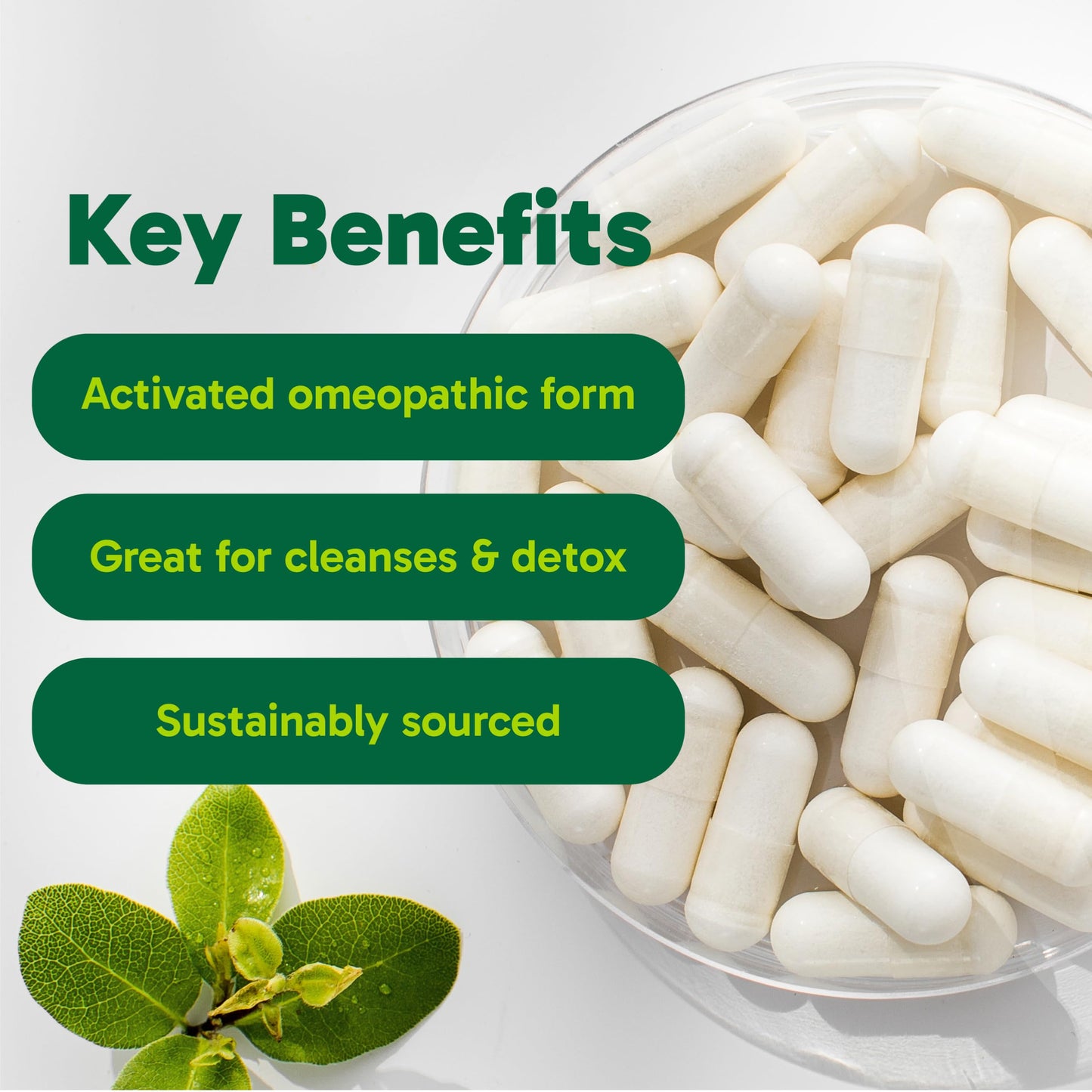 Organika Canadian-Made Activated Charcoal - Homeopathic Charcoal, Digestive Support, Detox, Gas and Bloating Support- 90vcaps - Available at All In One Marketplace Canada