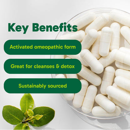 Organika Canadian-Made Activated Charcoal - Homeopathic Charcoal, Digestive Support, Detox, Gas and Bloating Support- 90vcaps - Available at All In One Marketplace Canada