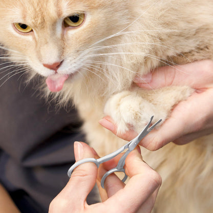 Tweezerman Dog and Cat Stainless Steel Safety Tip Grooming Scissors Tweezerman
