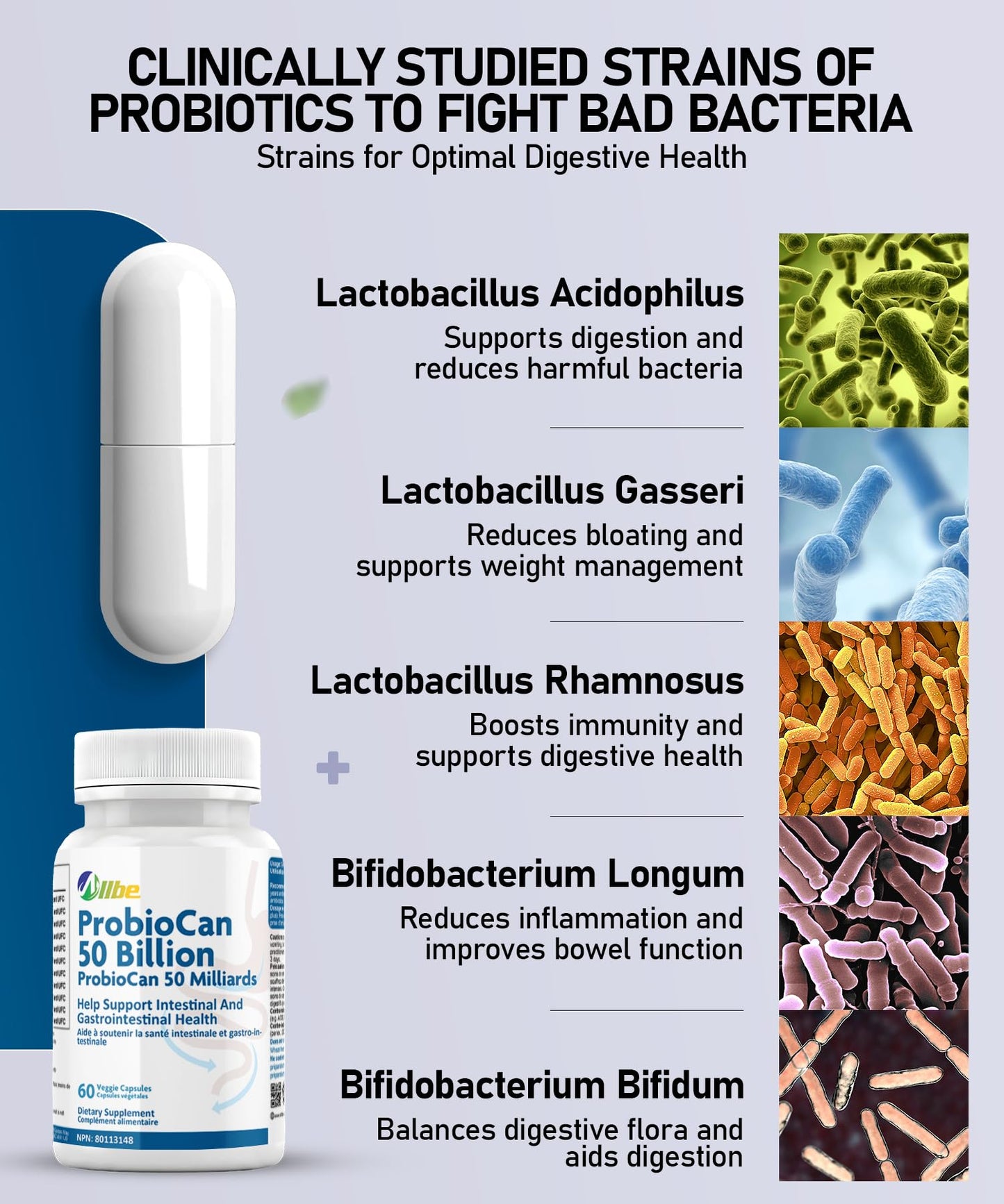 Allbe Probiotics for Men & Womens - 50 Billion CFU with 11 Strains, Lactobacillus, Acidophilus and L. Gasseri - Support Gut Health, Digestion, Weight Management and Bloating Relief - 60 Vegan Capsules, 1 Per Day - Available at All In One Marketplace Canada