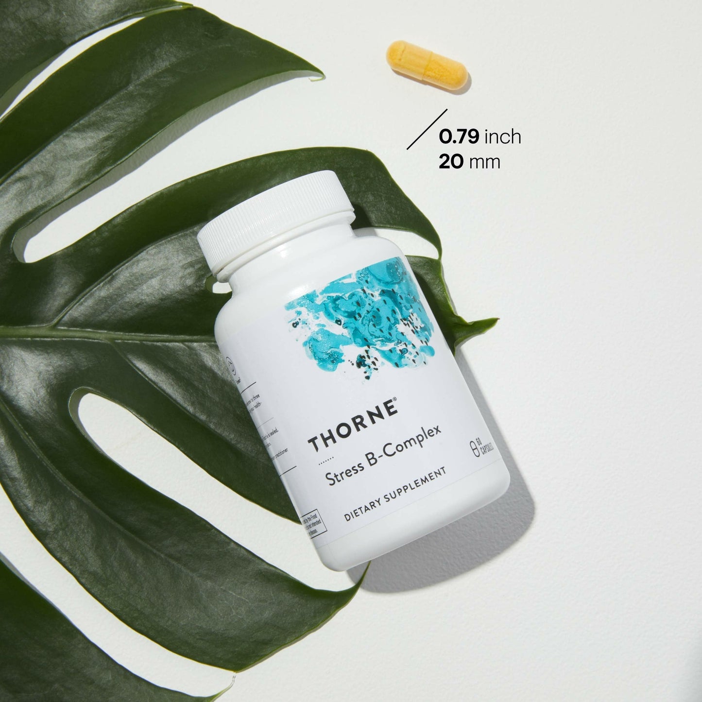 Thorne Stress B-Complex - Vitamin B Complex for Stress Support - 60 Capsules - 60 Servings - Available at All In One Marketplace Canada
