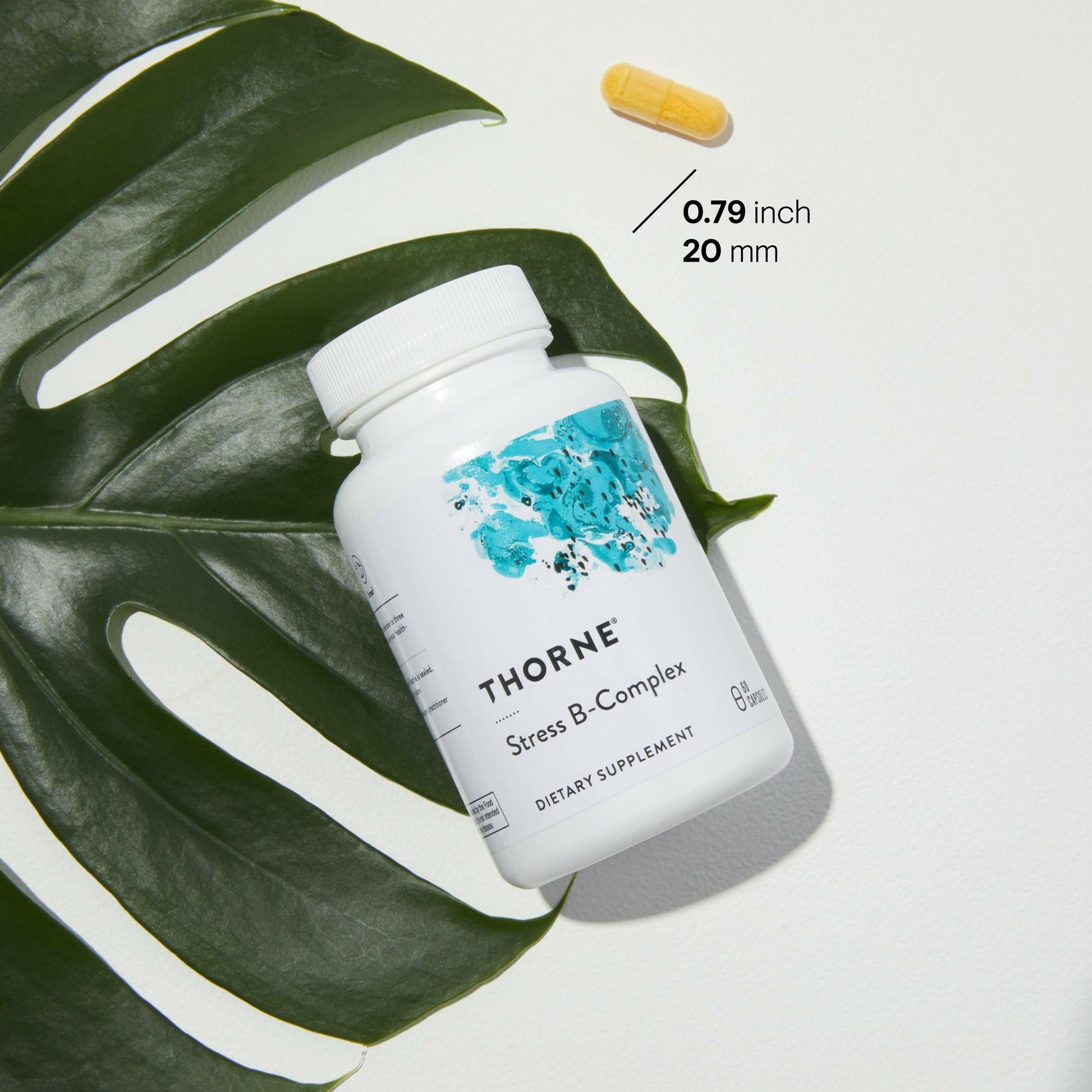 Thorne Stress B-Complex - Vitamin B Complex for Stress Support - 60 Capsules - 60 Servings - Available at All In One Marketplace Canada